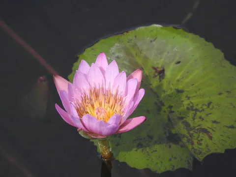 手机界面